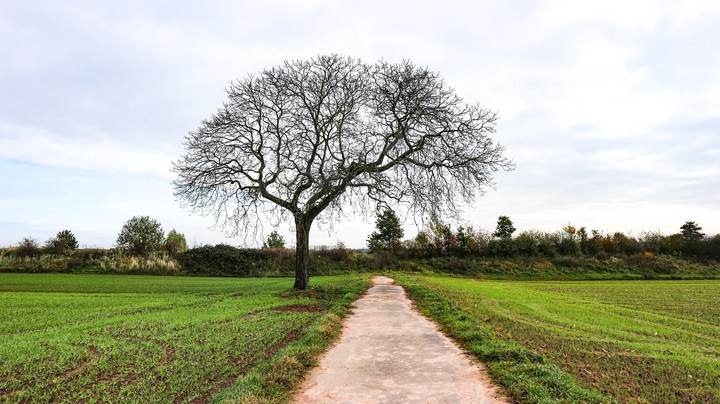 Landschaf