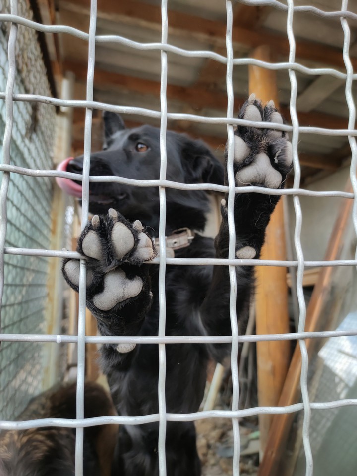 let me out, pls