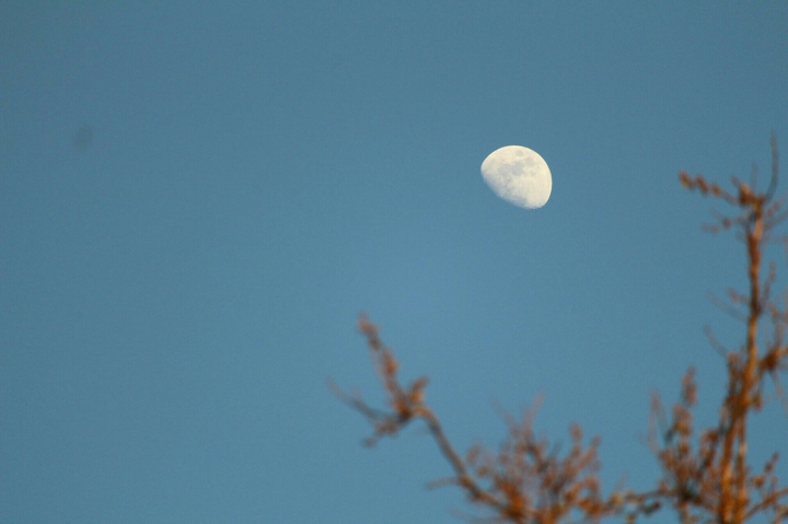 The moon
