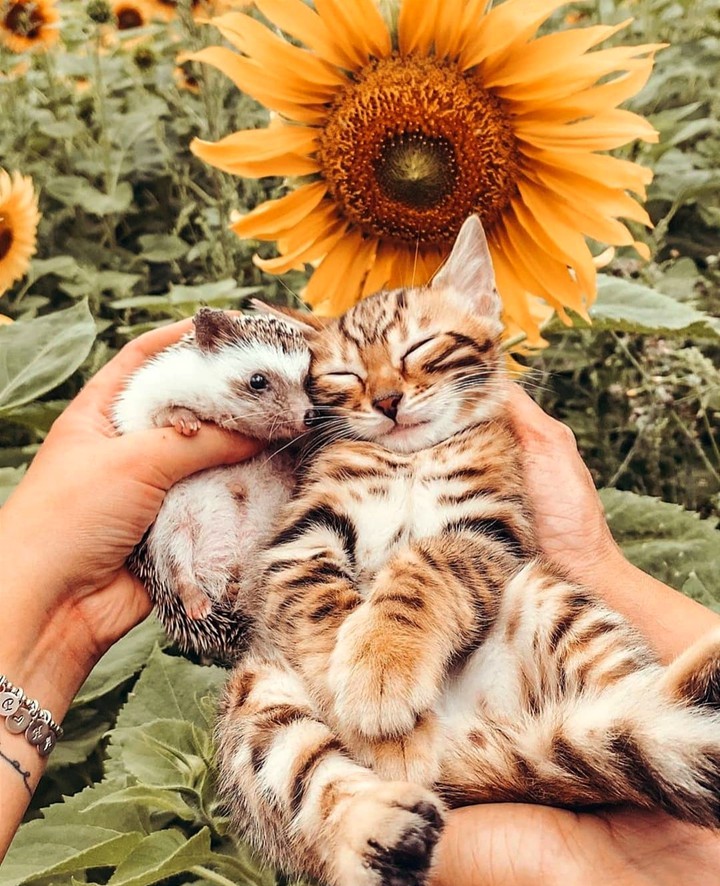 Lovely friends ❤️