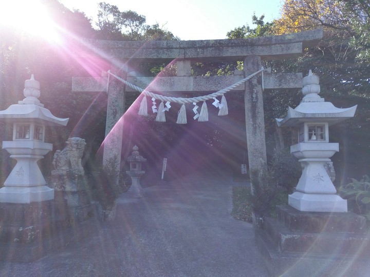 Torii