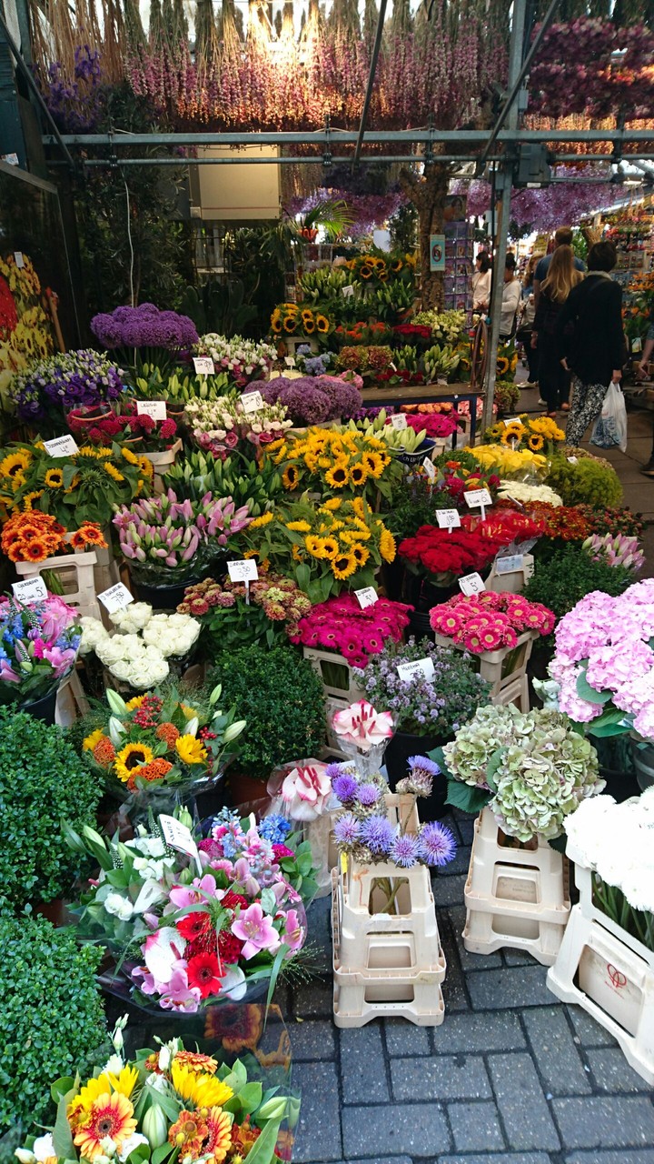 marché de fleurs
