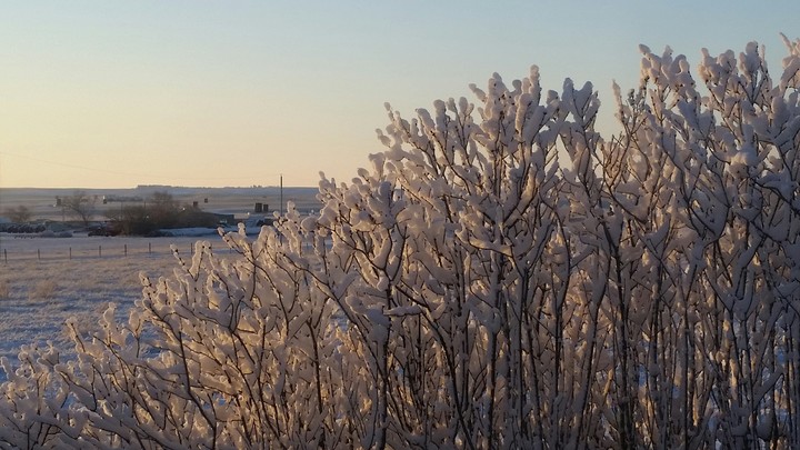 Happy Winter