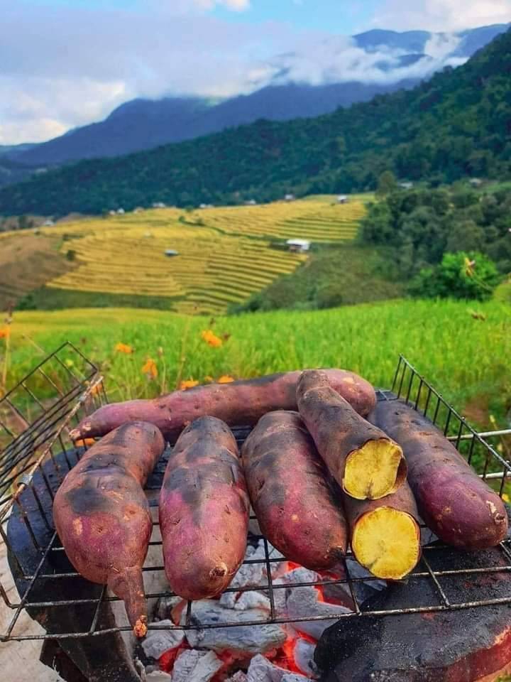sweet potato roasting