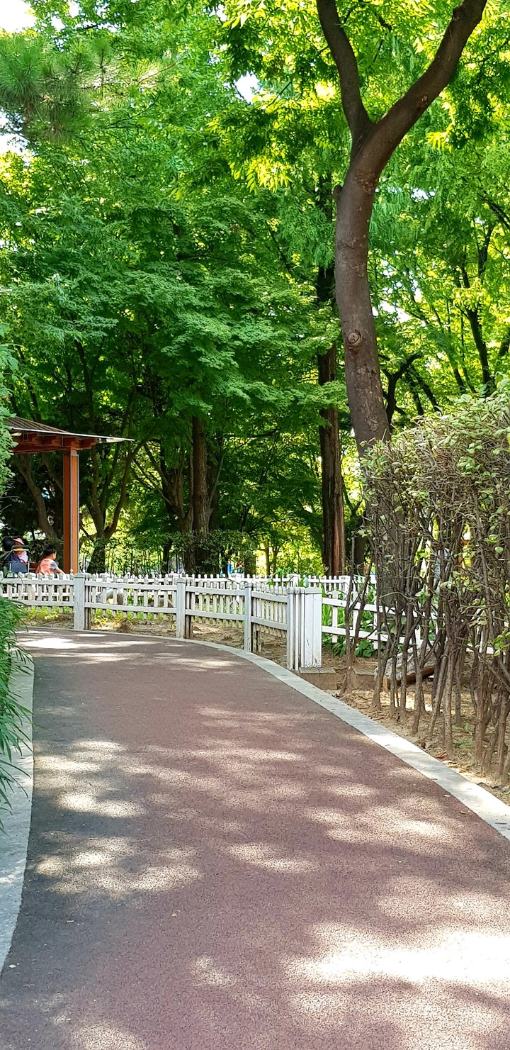공원