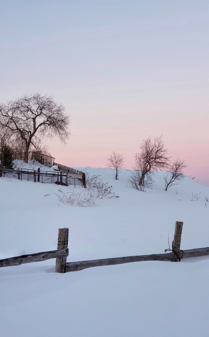 Winter colors.