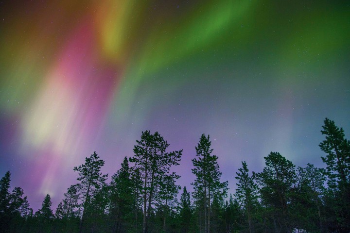 Colorful Lights