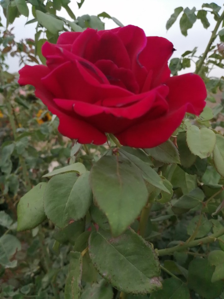 one