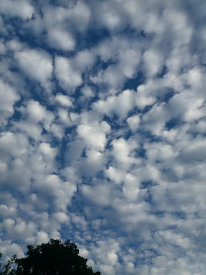 Clouds