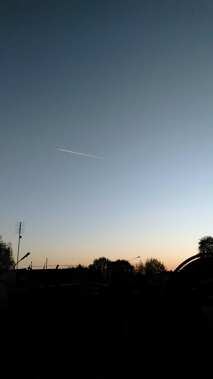 is it a bird or is it a plane?