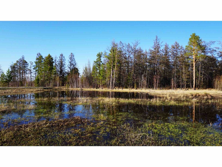 Spring in Yakutia