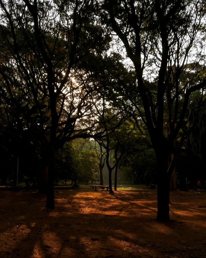 park