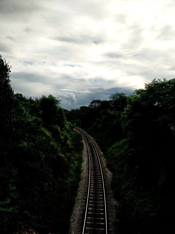 the track