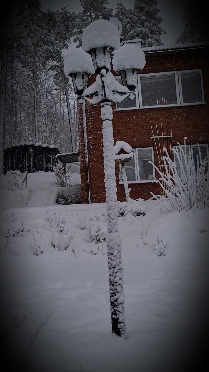 Snow