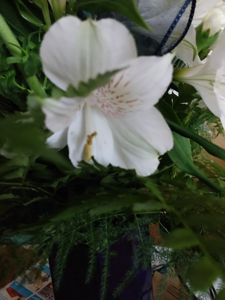 funeral flower