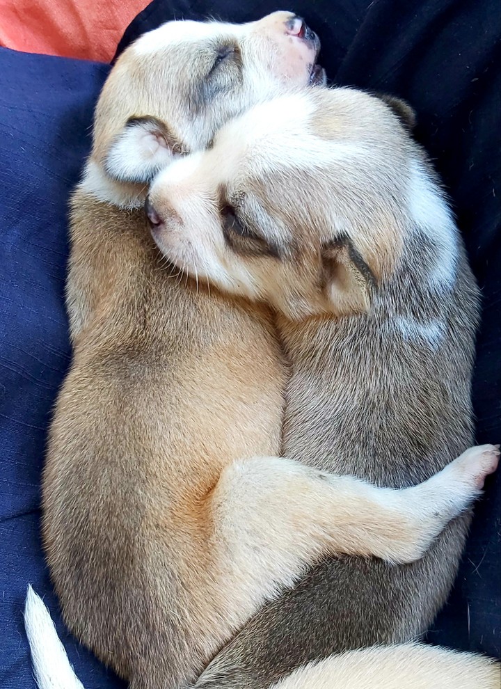 cute brothers