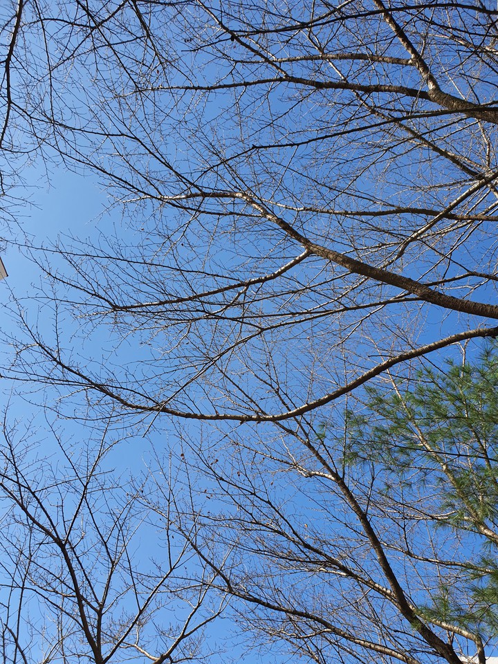 ♡