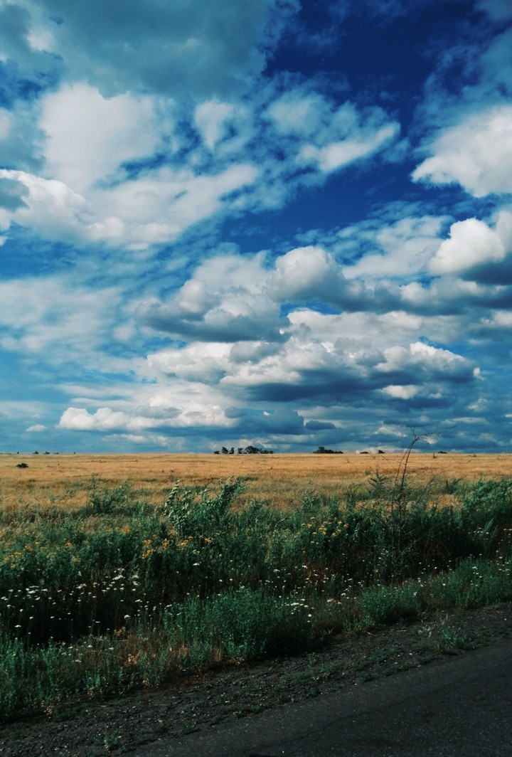поле и облака