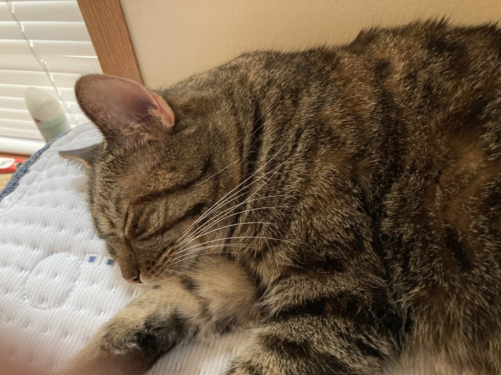 Sleeping