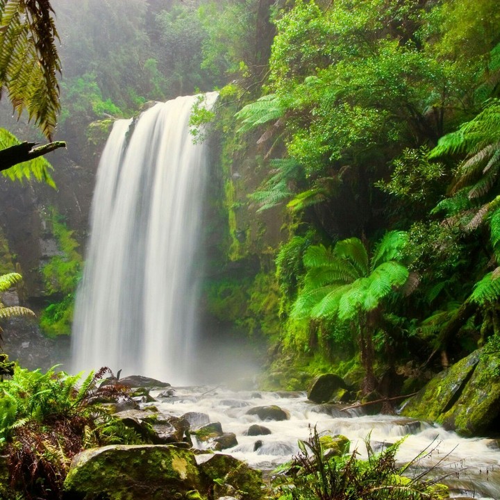 waterfall