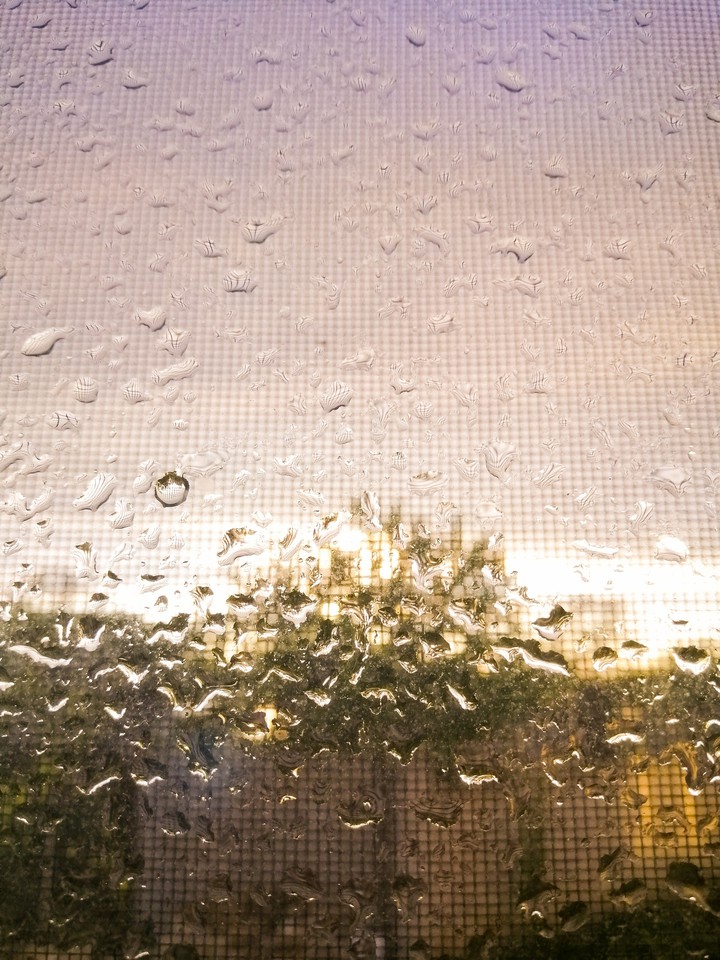 Spring ?️