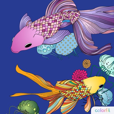 Colorful Fish