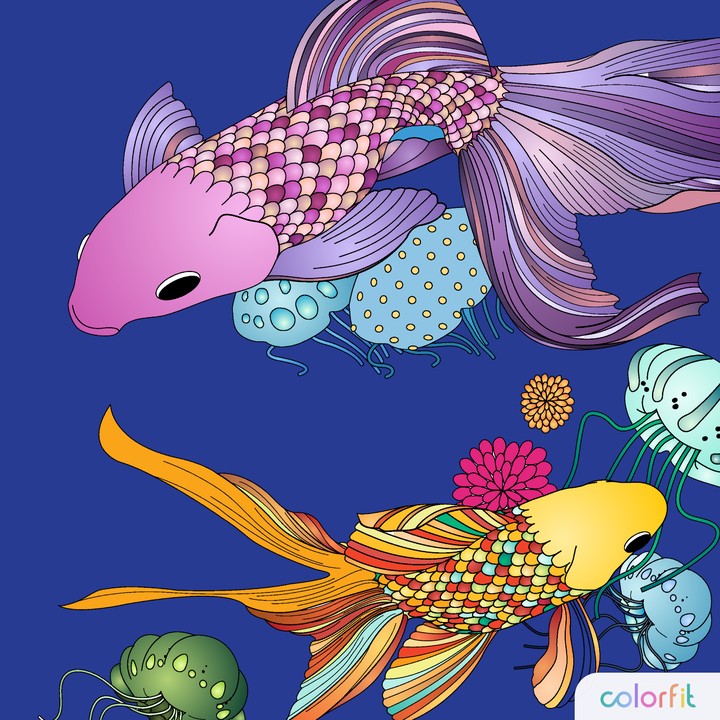 Colorful Fish