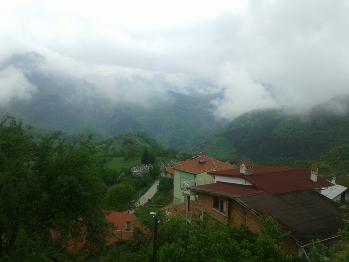 Bulgarian