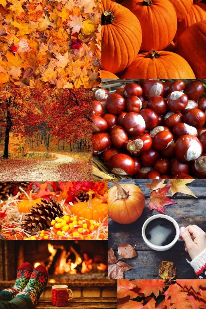 .Things in Autumn (Autumn things)