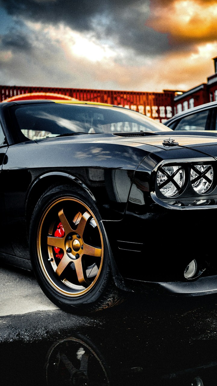 mustang