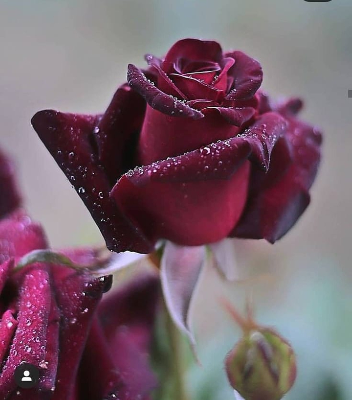 for you❤❤