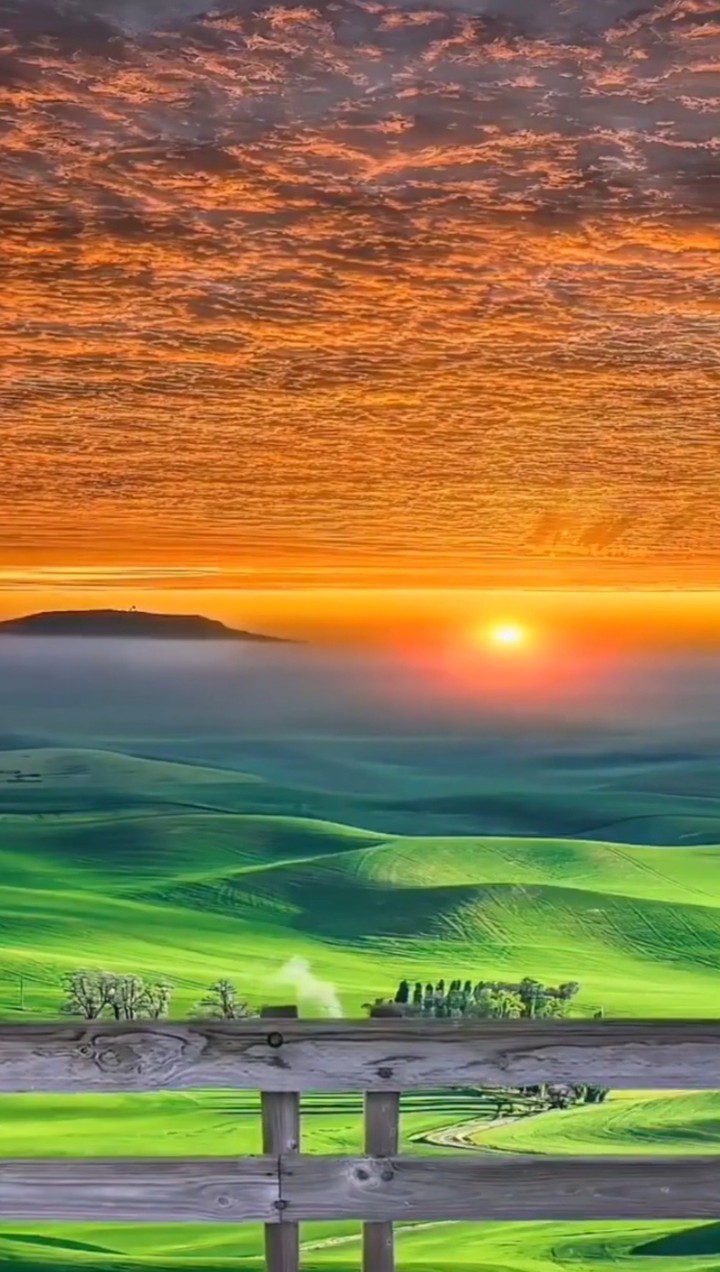 nature