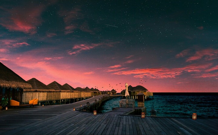 Holiday Dream