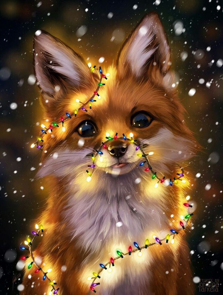 fox