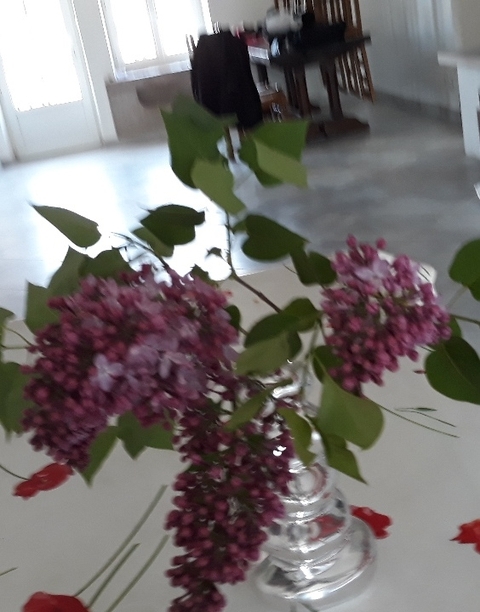une fleur