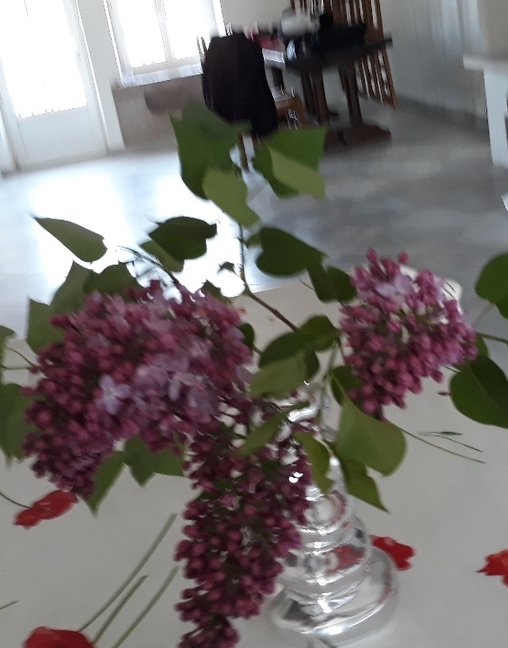 une fleur