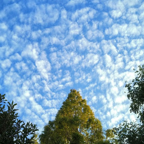 sky