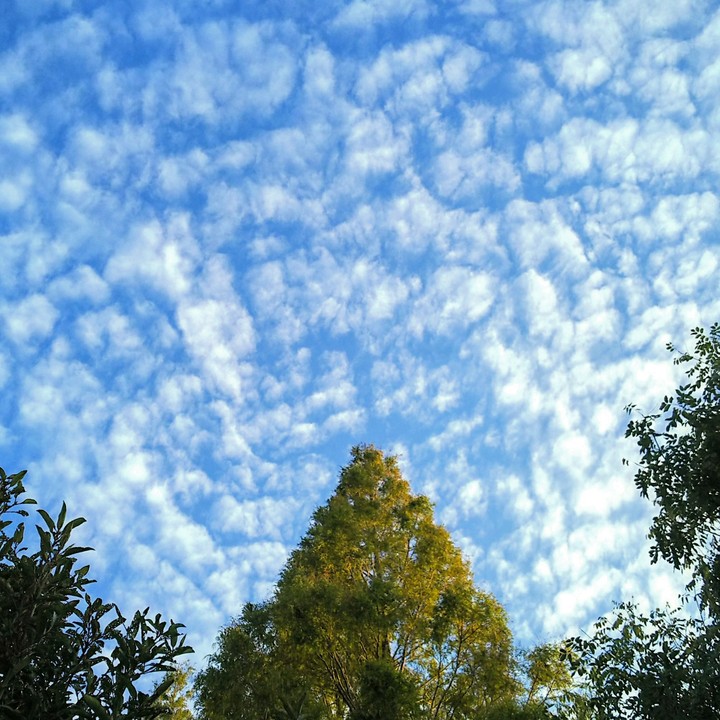 sky