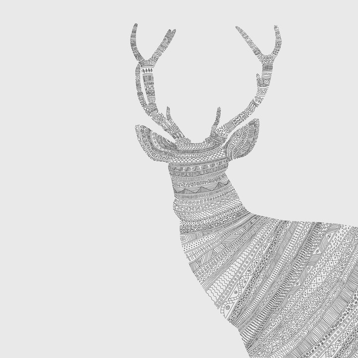 the texture of a deer
