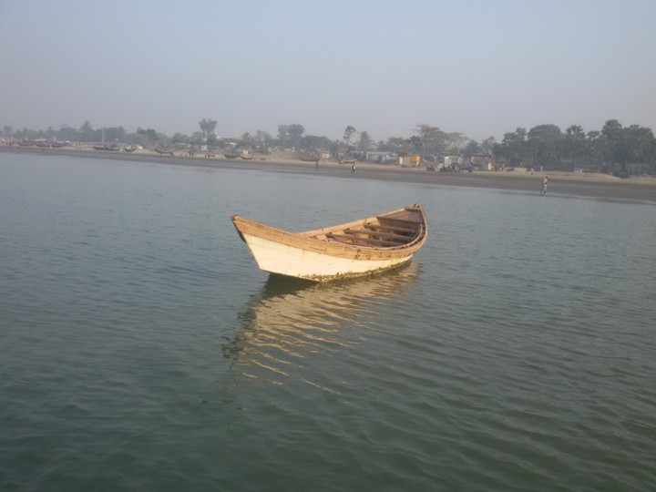sea noat