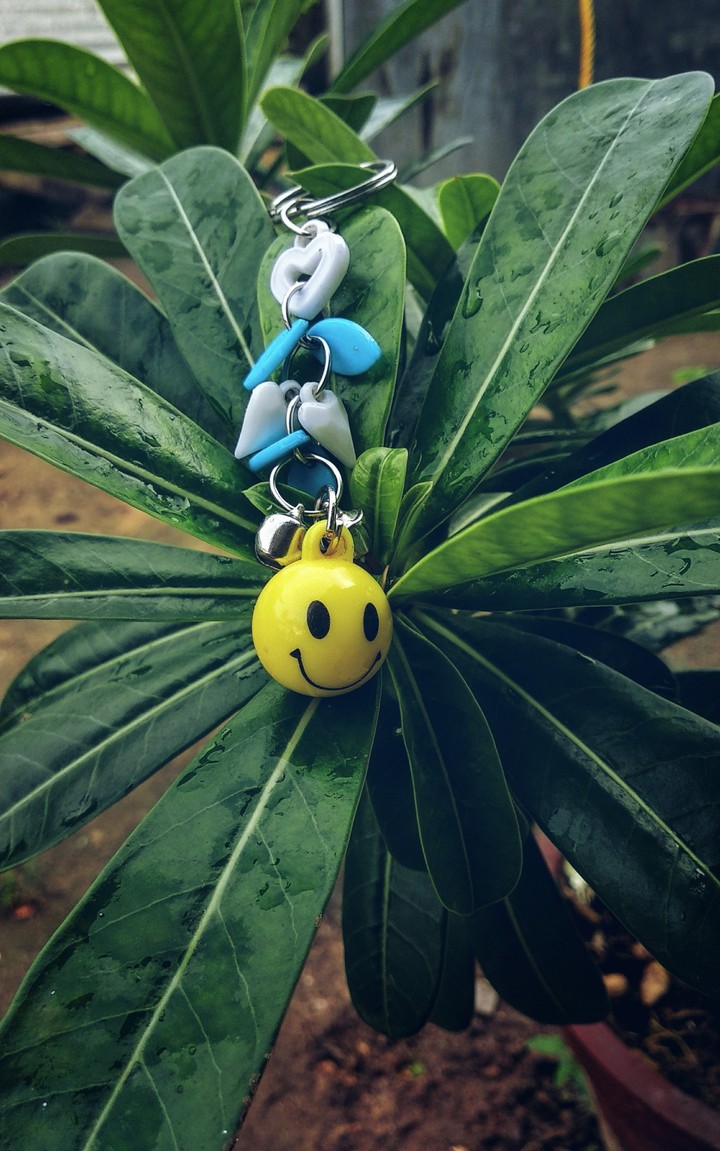 Key chain