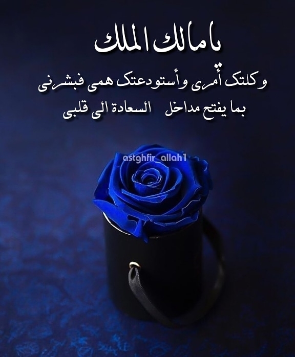 يالله