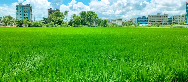 #Nature