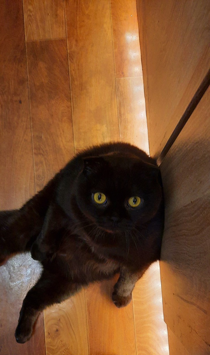 Tomas