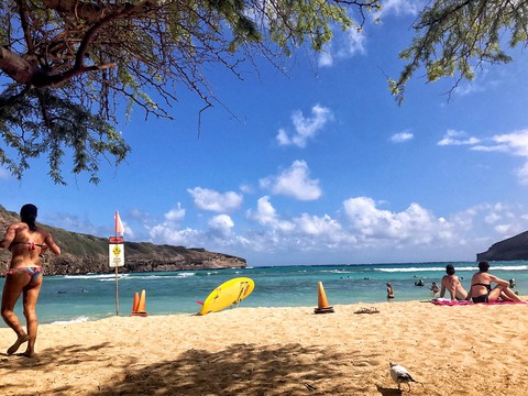 Hanauma Bay