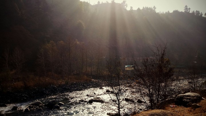 Nature