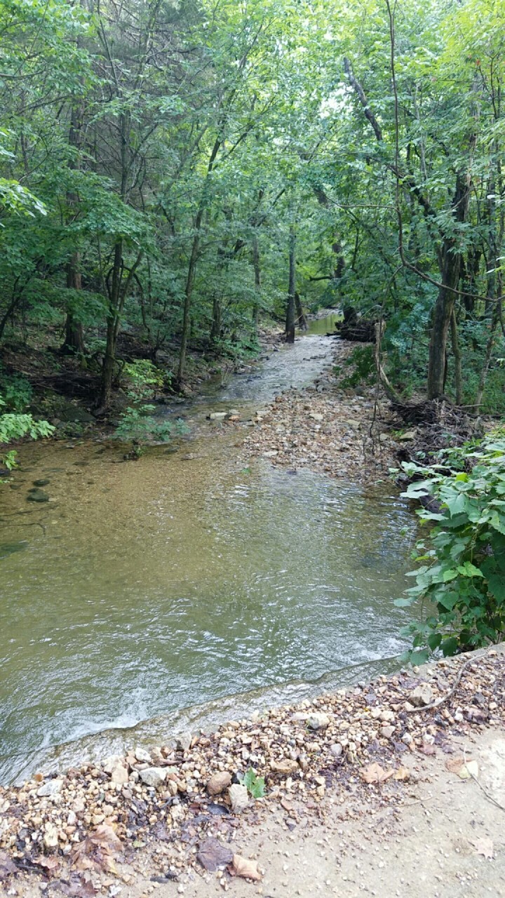 stream