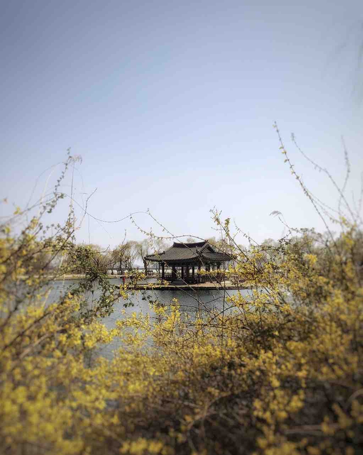 spring