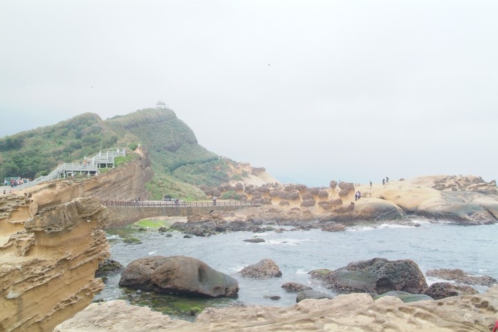 Scenics