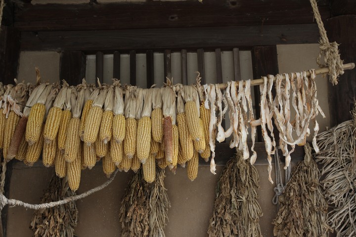 Asia
